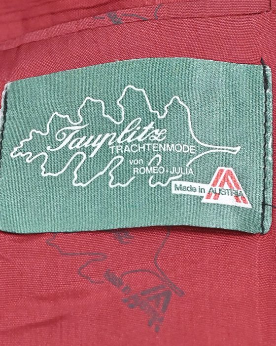 Мужской жакет в альпийском стиле Tauplitz — изображение 6