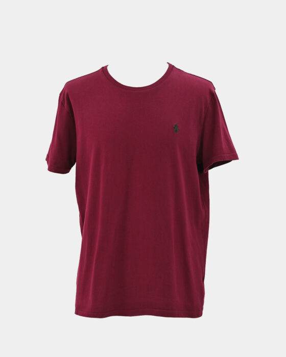 Мужская футболка Polo Ralph Lauren
